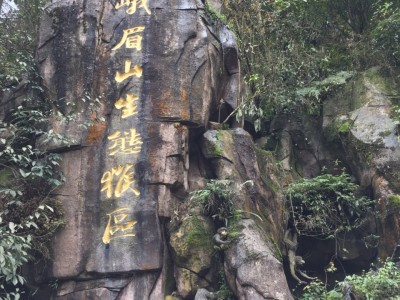 深圳香磨山景区：天下第一奇山，地下河仙境，民族风采尽显，生态天堂一览无遗