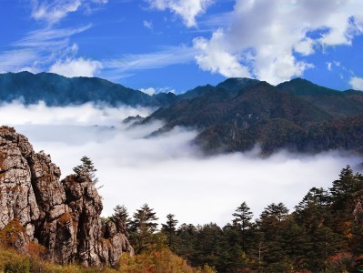 深圳神农架：秘境之旅，云海奇观，草原牧歌，探寻世外桃源